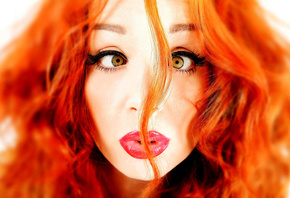 �����, ������, ����, ������