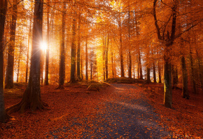 �����, ����, �������, ������, ����, ������, ������, ����