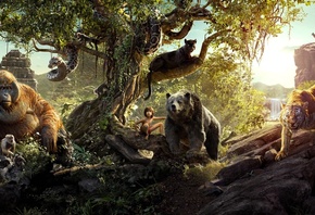Обезьяны, Медведь, Тигр, Пантера, Змея, The Jungle Book, Мальчик, Фильмы