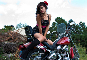 harley- davison, , pin up