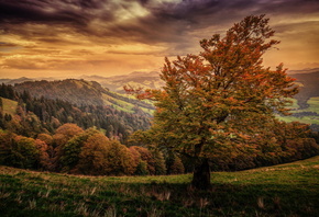 Швейцария, Пейзаж, Горы, Небо, Осень, Деревья, Природа