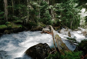 ����, �����, �����, ���, ���, Serj Master