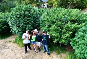 ����, �������, ��������