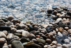 �����, �����, �������