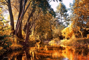 ,  , , , , serg yashchikov