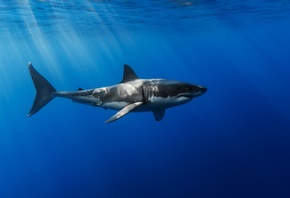 �����, ����, ���� �����