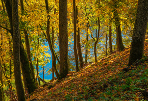 �����, ����, ������, �������