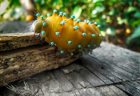 ��������, �����, �����, �� �����