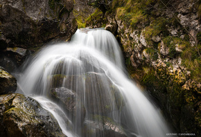 �������, �����, �����, ���, Antonio Cantabrana