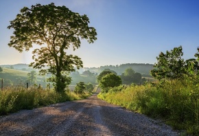 ������, ����, ������