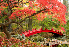 �����, ���, ����, ������, �������, �������