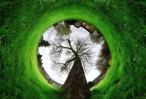 Gree, �����, �������, ������