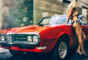 muscle cars, women, blonde, bikini, with, Pontiac