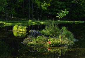 ���, ������, �����, �������