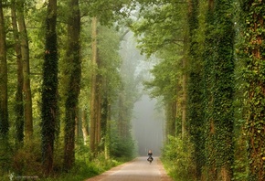 , , photographer, Lars van de Goor, , , 