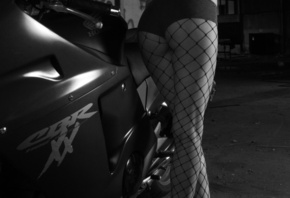 �������, girl, �����, �����, ��������, honda