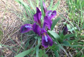 ��� ������, �������, ����, ������, ��������