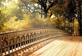 ����, �������, �����