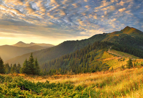 ����, ����, �������, �����, �����, ����, ������