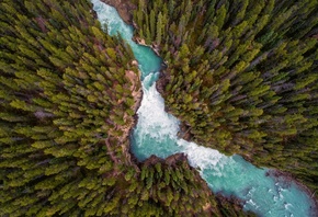 �������, ������ ����, ����, ����