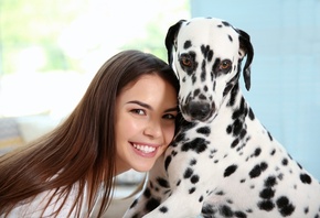 , , , , dalmatian, dog