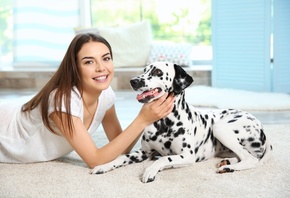 , , , , dalmatian, dog