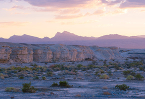 ���, state, nevada, �������