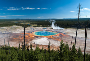 , , , , , park, trees, national, , grand, yellowstone, geyser