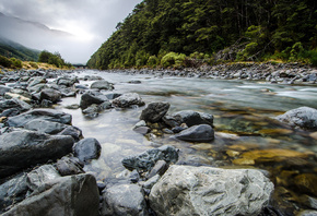 new, zealand, , , , 