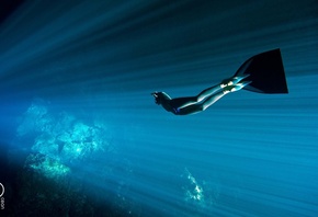 фото, под водой, погружение, океан, профи фото