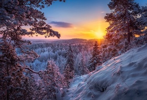 ����, ���������, ����, Lauri Lohi, ������, ���, ����, ����, ������