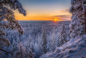 ����, ���������, ����, Lauri Lohi, ���, �������, ����, ������, ����