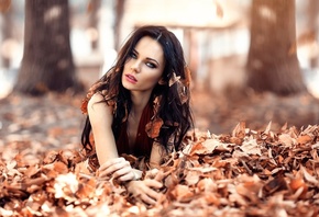 �������, ������, �����, ������� ������