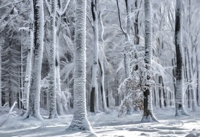 , , photographer, Lars van de Goor, , , 