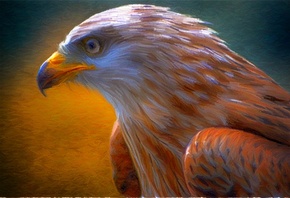 ���, ����������, �����