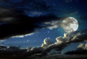 ����, ������, ����, ����