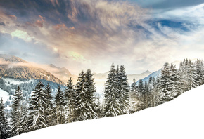 Switzerland, Alps, Швейцария, Альпы, зима, снег, горы, лес, деревья, ели