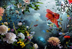 цветы, птицы, медузы, облака, сказка