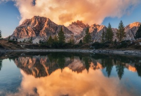 ���������, �����, �����, ����� Limides, ������, ��������, ��������� ��������