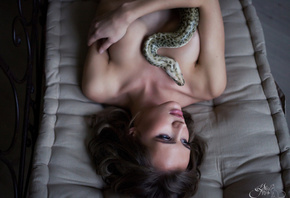 ������ ��������, ��������, �����, ����, �������, ������