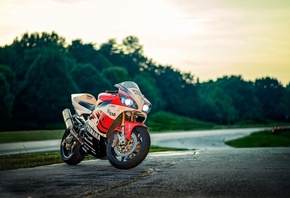 yamaha, ��������