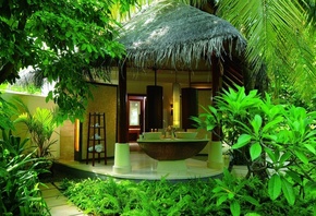 ���, �����������, �������