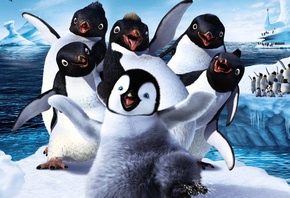 ������������� ��������, ��������, ����, �����, ����� ����