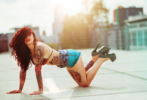 Xenia, ������, ����, �������