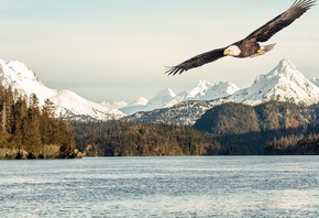 photos, flick, , , , 