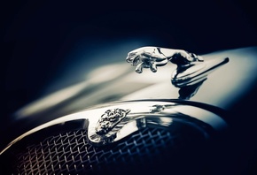 Jaguar, Ягуар, суперкар, темный фон
