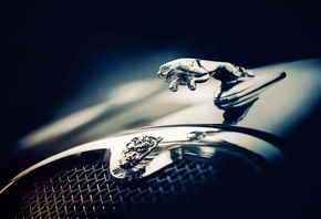 Jaguar, �����, ��������, ������ ���