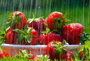 ��������, �����, �����