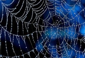 �������, ����, �����