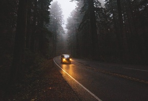 ���, ������, ����, �������